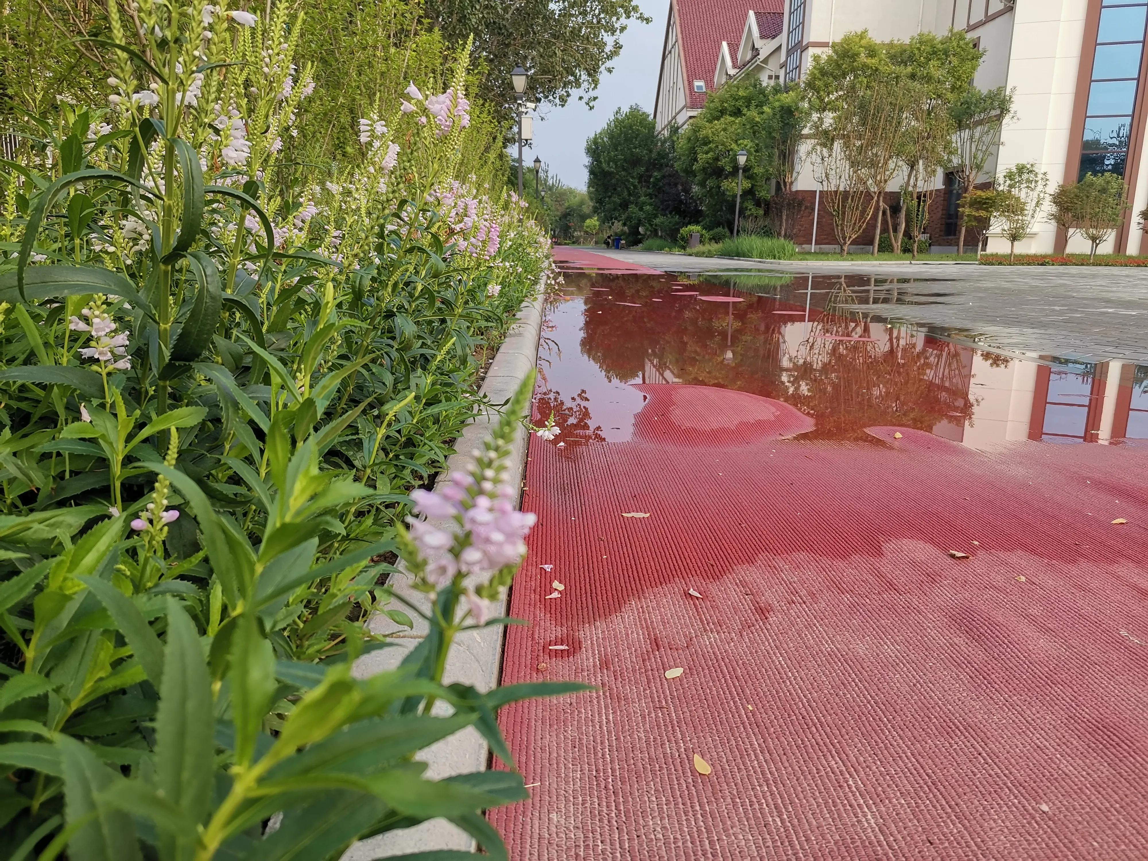 2022年天津市公园健身大会通知,天津全民健身中心