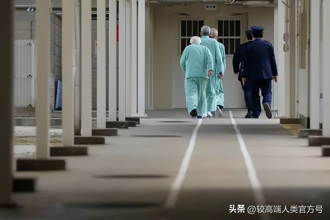 日本老人为什么故意进监狱,日本老人如何坐牢