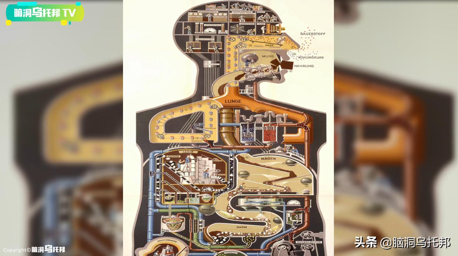 颠覆三观!这是改变你一生的影片,信念生物学：基因以外的生命奥秘