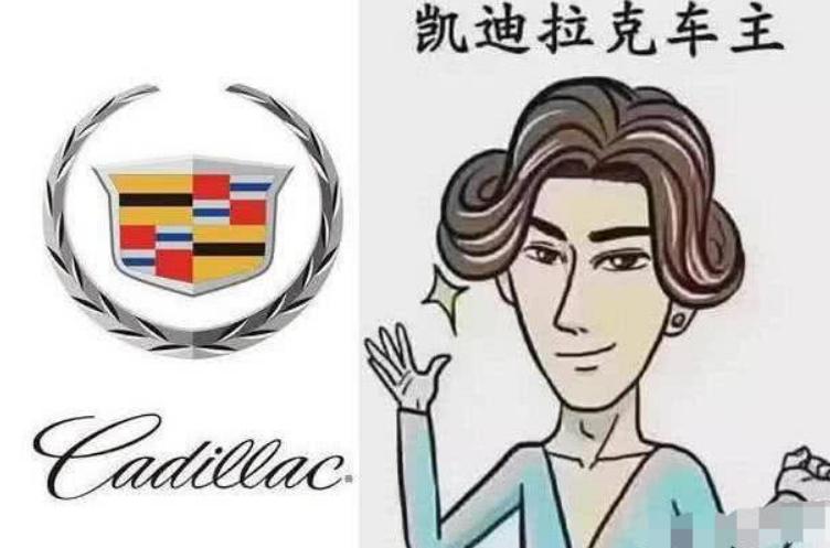 各大品牌车主人物画像,车主画像真人版