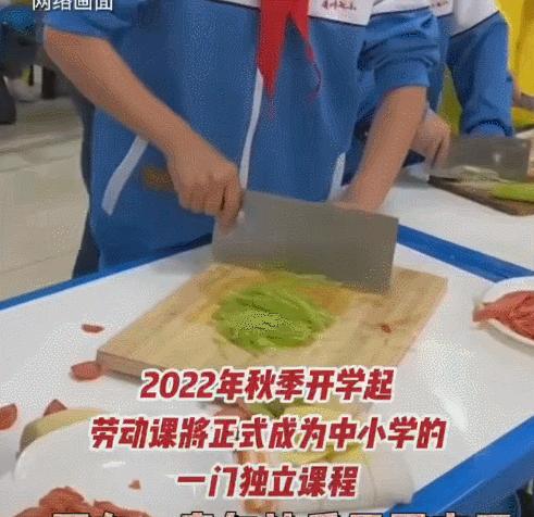“劳动课”成必修课：我要悄悄学烧菜，等9月开学惊艳所有人