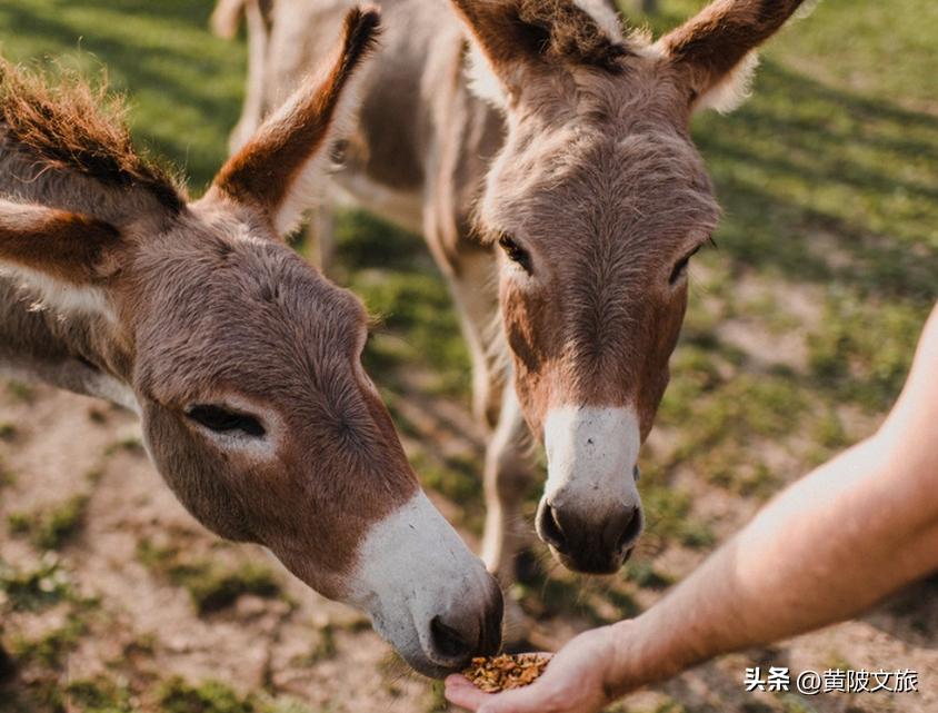 <html>
<head><title>502BadGateway</title></head>
<body>
<center><h1>502BadGateway</h1></center>
<hr><center>nginx</center>
</body>
</html>
<!--apaddingtodisableMSIEandChromefriendlyerrorpage-->
<!--apaddingtodisableMSIEandChromefriendlyerrorpage-->
<!--apaddingtodisableMSIEandChromefriendlyerrorpage-->
<!--apaddingtodisableMSIEandChromefriendlyerrorpage-->
<!--apaddingtodisableMSIEandChromefriendlyerrorpage-->
<!--apaddingtodisableMSIEandChromefriendlyerrorpage-->
