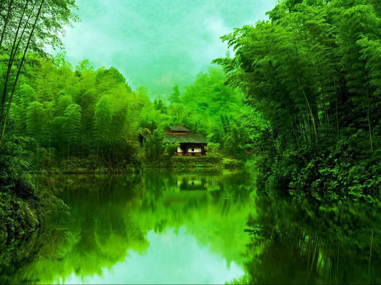 中国十大竹海排名,中国十大竹海之都