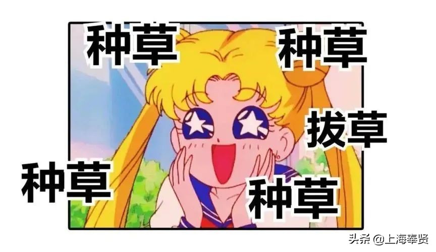 新开的天街上海奉贤,奉贤新城天街什么时候开业