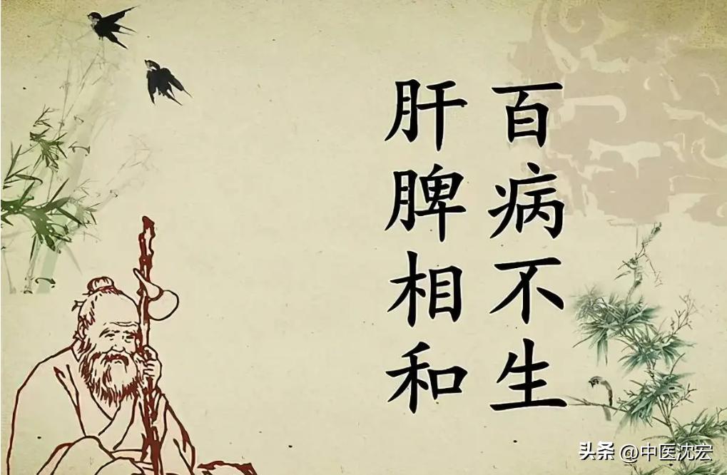 治脾不治肝,养肝疏肝调理脾胃的中成药