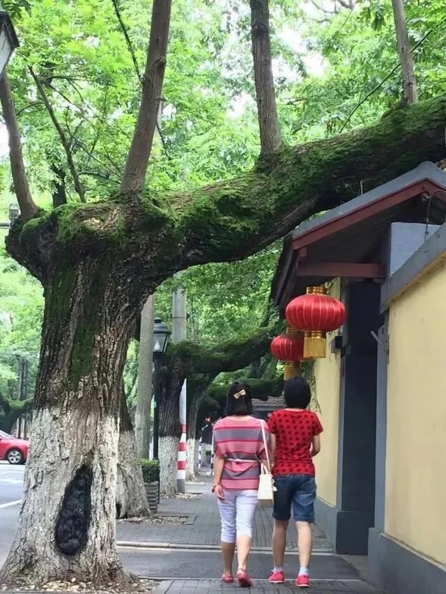 南京旅游攻略最详细攻略,南京旅游自由行详细攻略