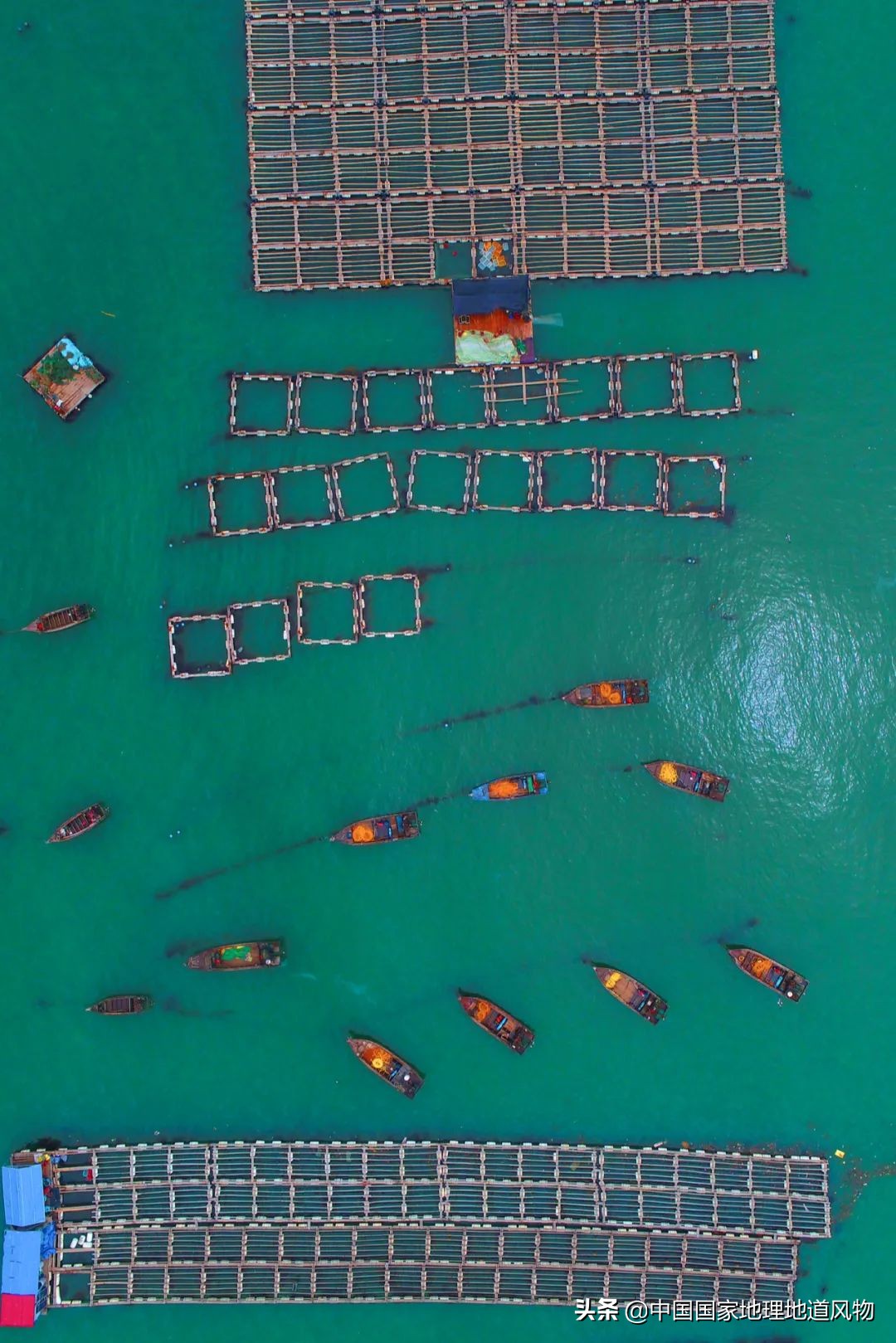 辽宁哪个地方的海鲜最好,辽宁各市都有啥海鲜