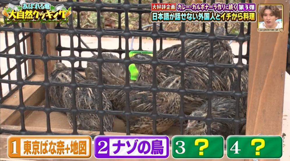 日本男星被迫和中国美女一起“荒野求生”？网友都笑疯了哈哈哈…