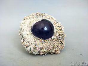 高僧圆寂后为何会出现舍利子,高僧星云大师舍利子