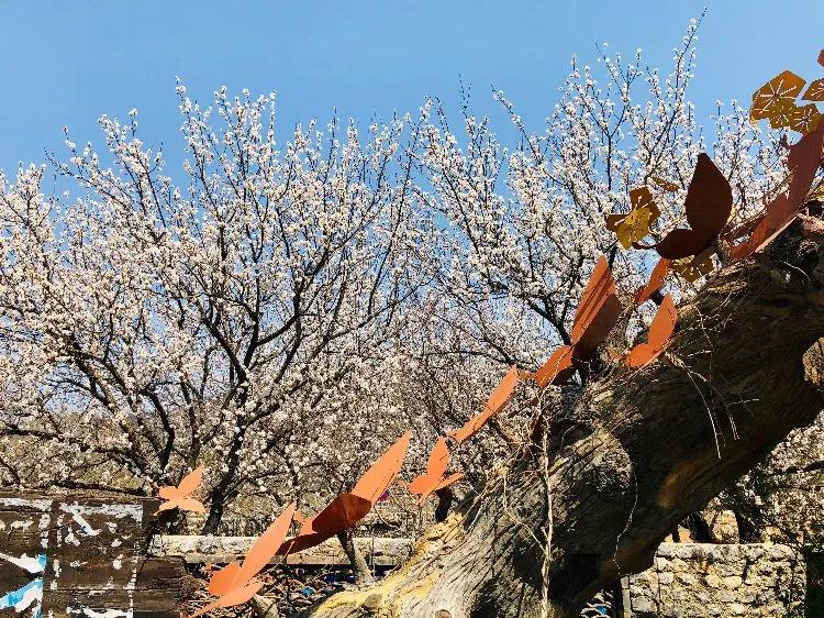 大连旅游必去景点排名亲子,大连冬天旅游必去景点排名