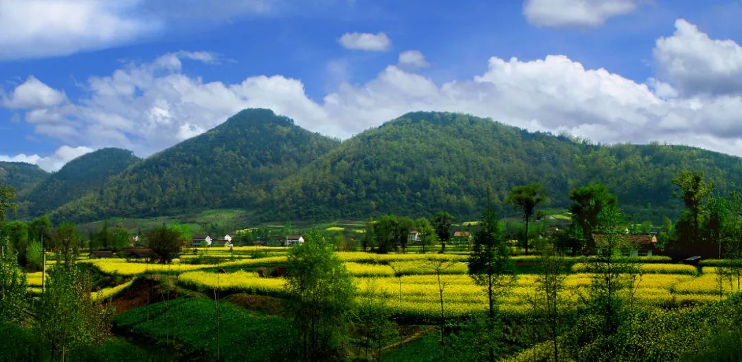 人这一辈子一定要去一趟汉中,人这一辈子一定要去趟旅行