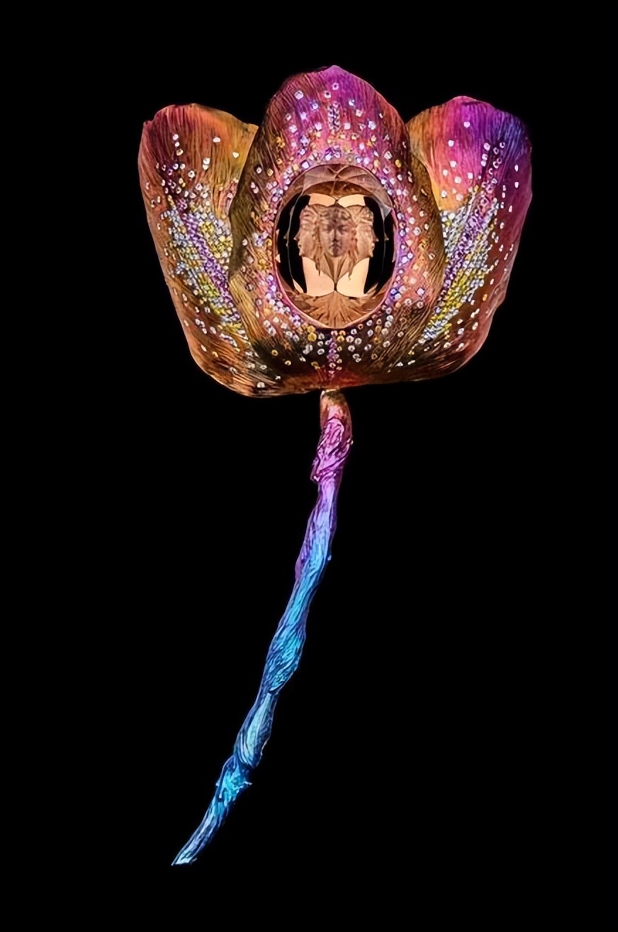 楂樼骇鐝犲疂缈昏溅,澶х墝棣栭グ鎾炴