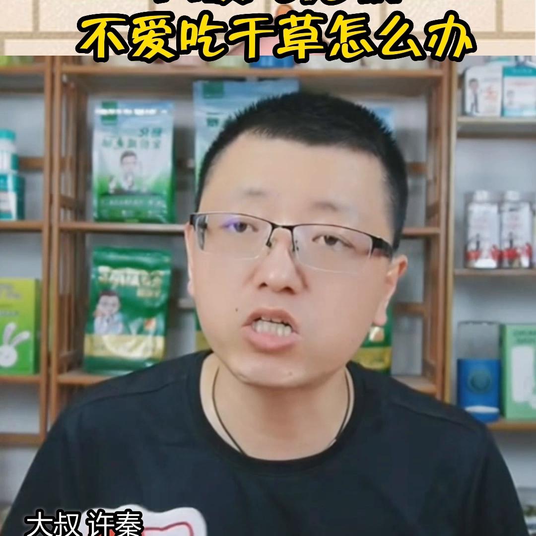 兔子挑食光兔粮不吃草怎么办,兔子不爱吃草怎么办