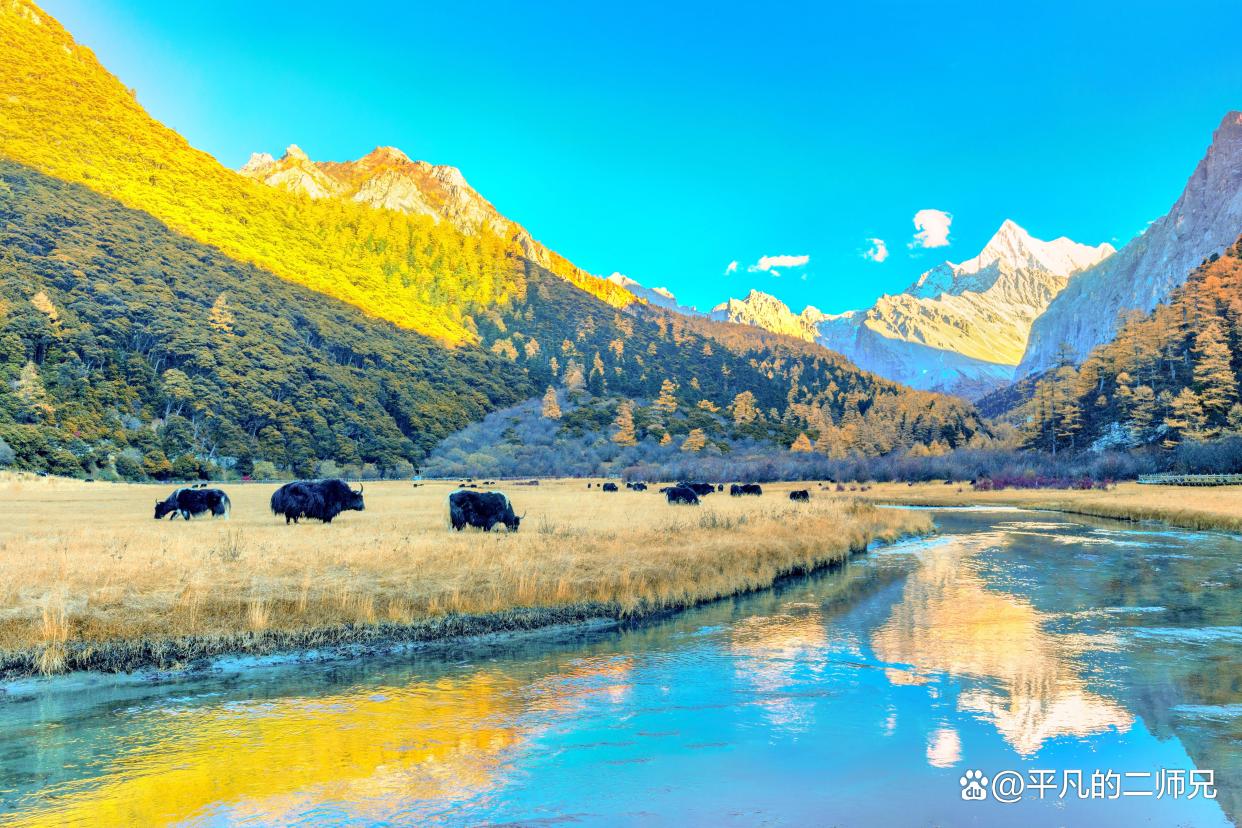 成都号称天府之国,成都天府之国旅游景点自由行