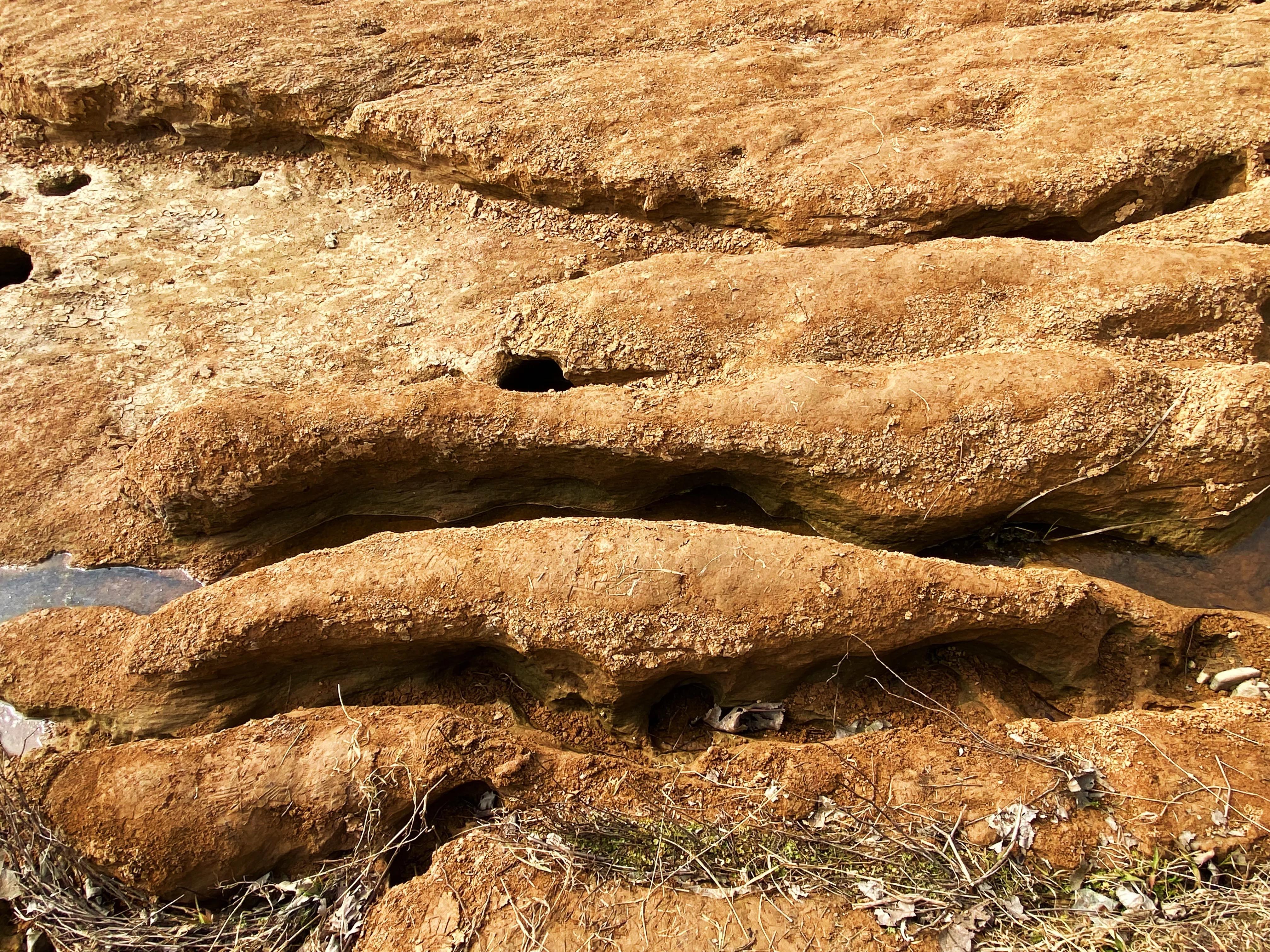 河边的景色真是太美了,文川河风景