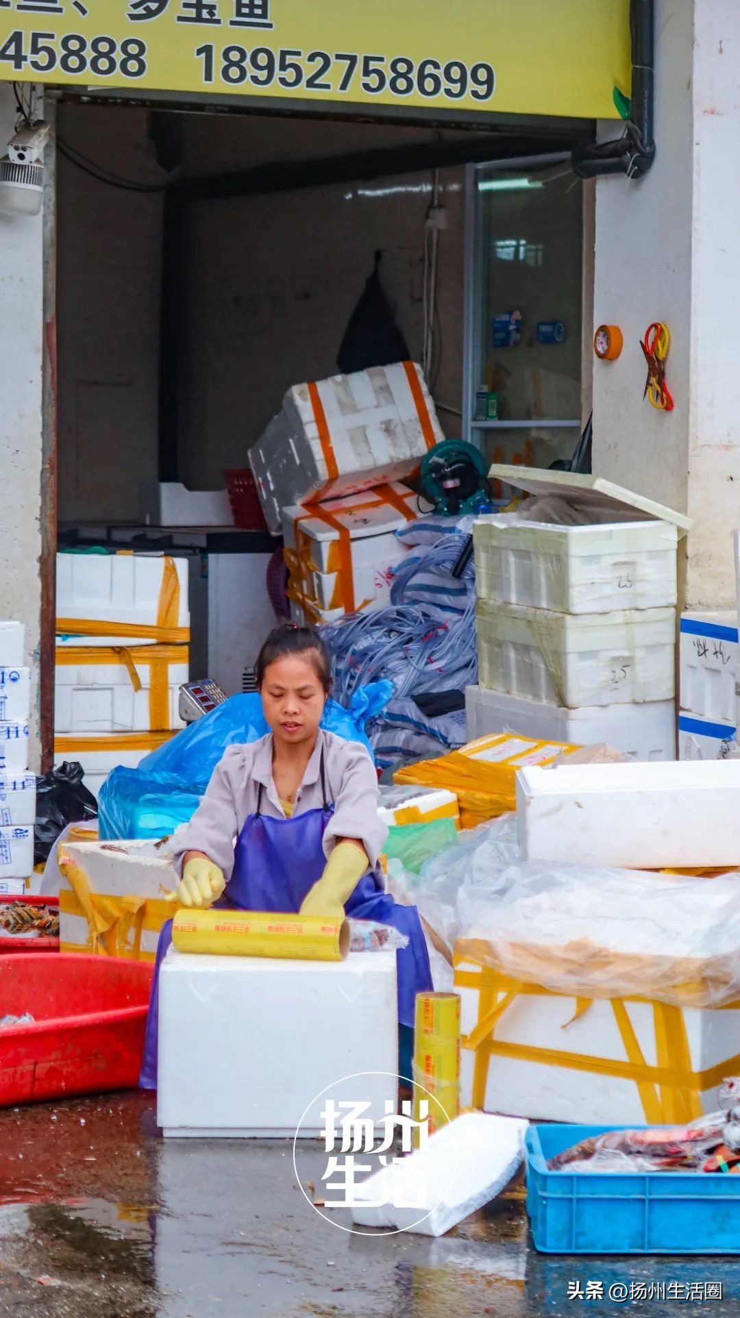 不吃一顿螃蟹，扬州人过不好这个秋天