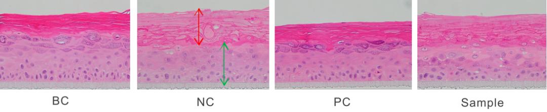 化妆品舒缓的原理是什么,化妆品功效评估