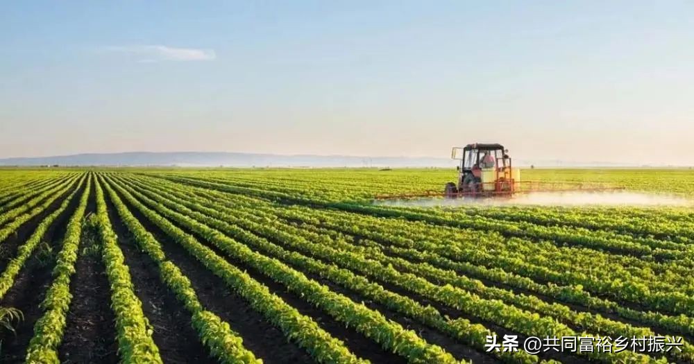 世界十大最顶尖的农产品强国,世界十大新型农业产品