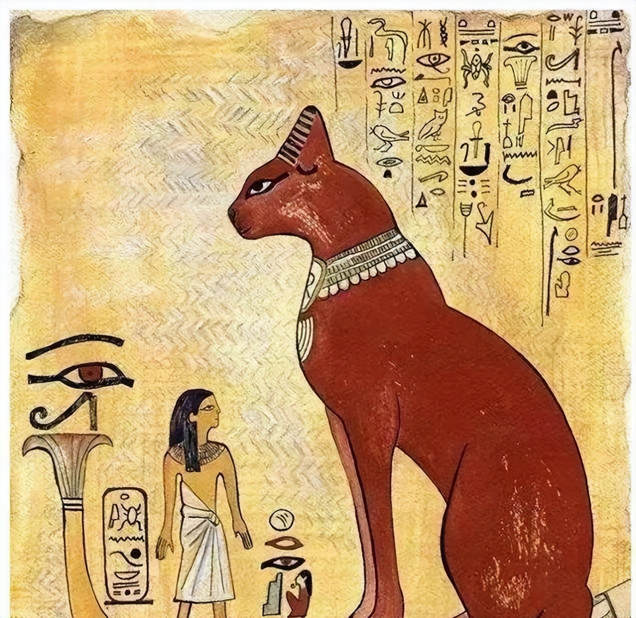 猫咪的起源是来自哪里,猫咪最初起源于哪里