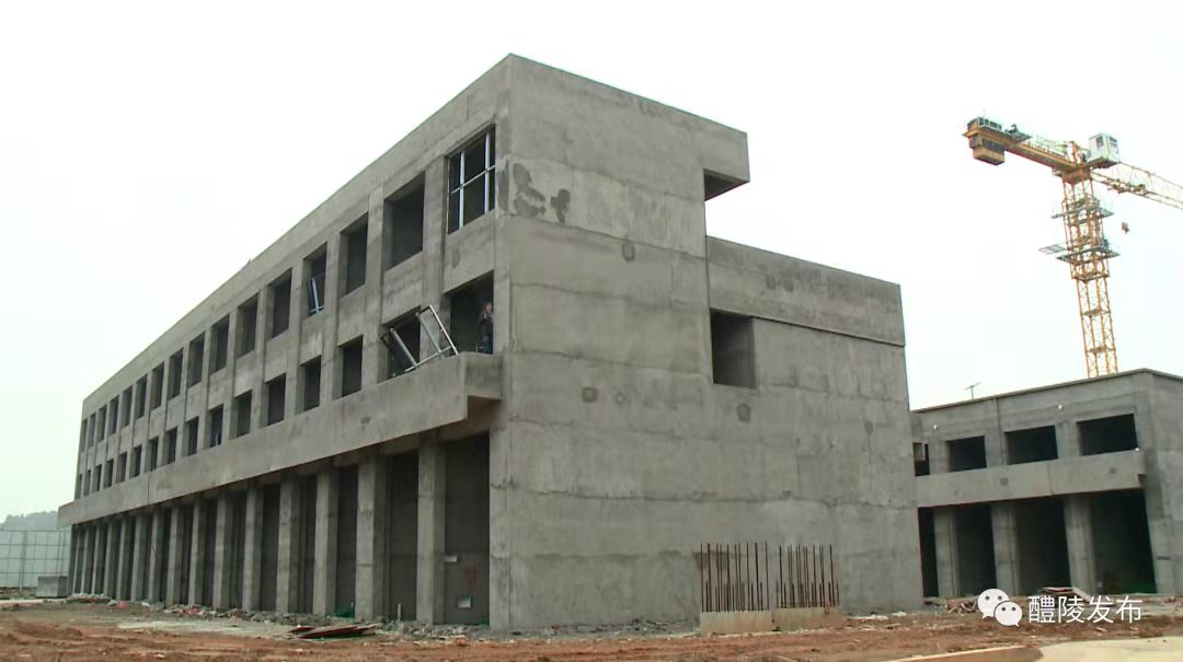 2024年醴陵实施的重点项目,醴陵2020重点项目规划