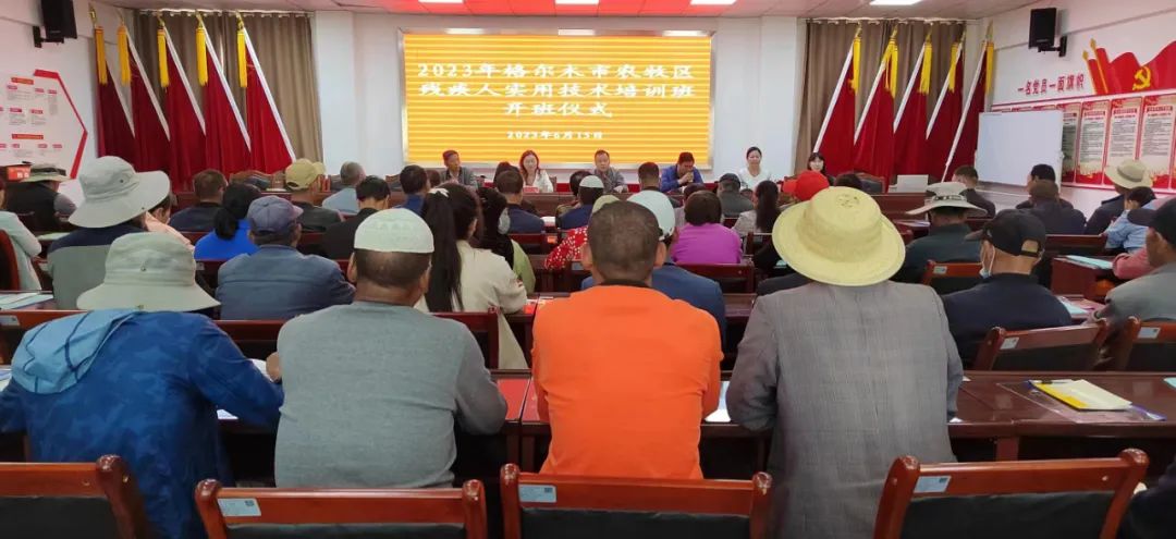 【一周综述】郭勒木德镇一周工作综述2023年第21期（2023年6月12日-6月18日）