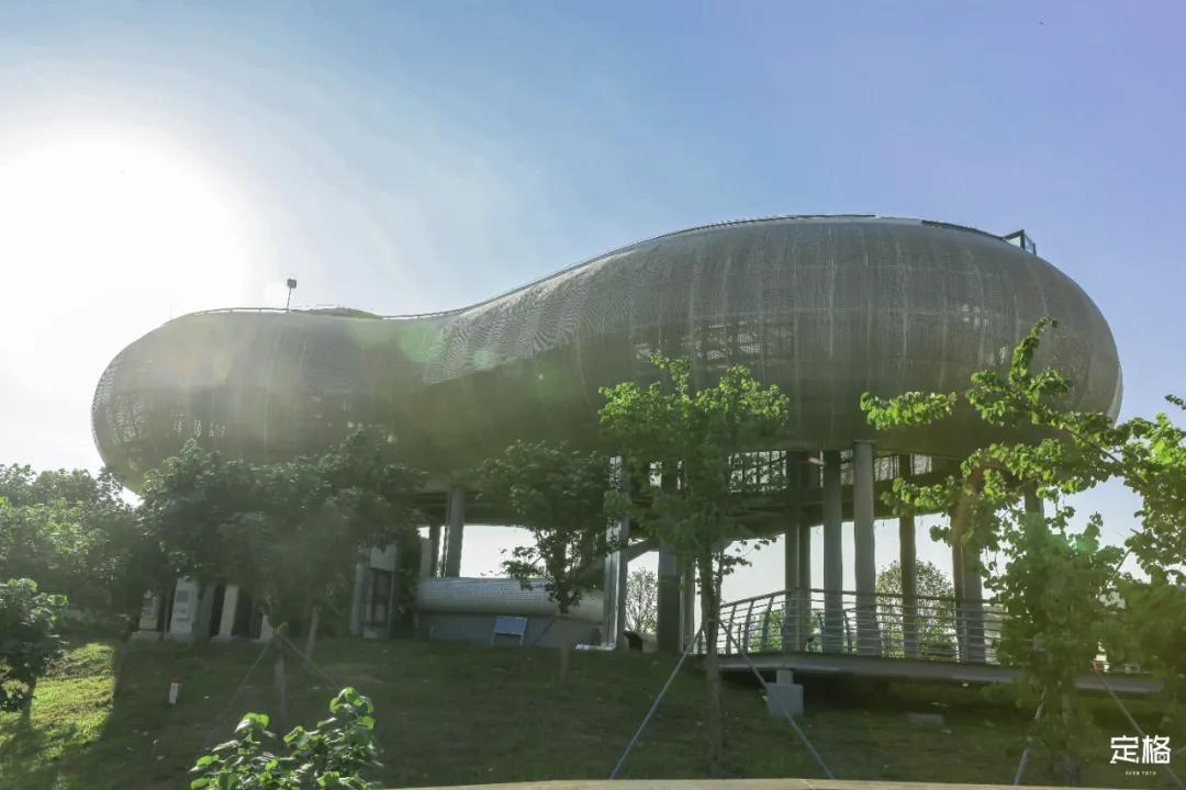 深圳户外公园最大滑滑梯,深圳滑滑梯免费南山公园附近