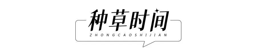 夏天的衣服显瘦遮肉学生党,夏天显瘦穿搭学生党推荐裙子