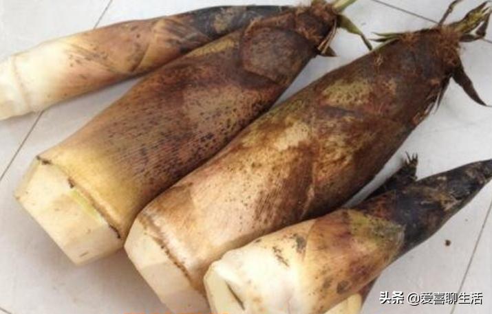 春天必吃这10种春菜,立春春菜