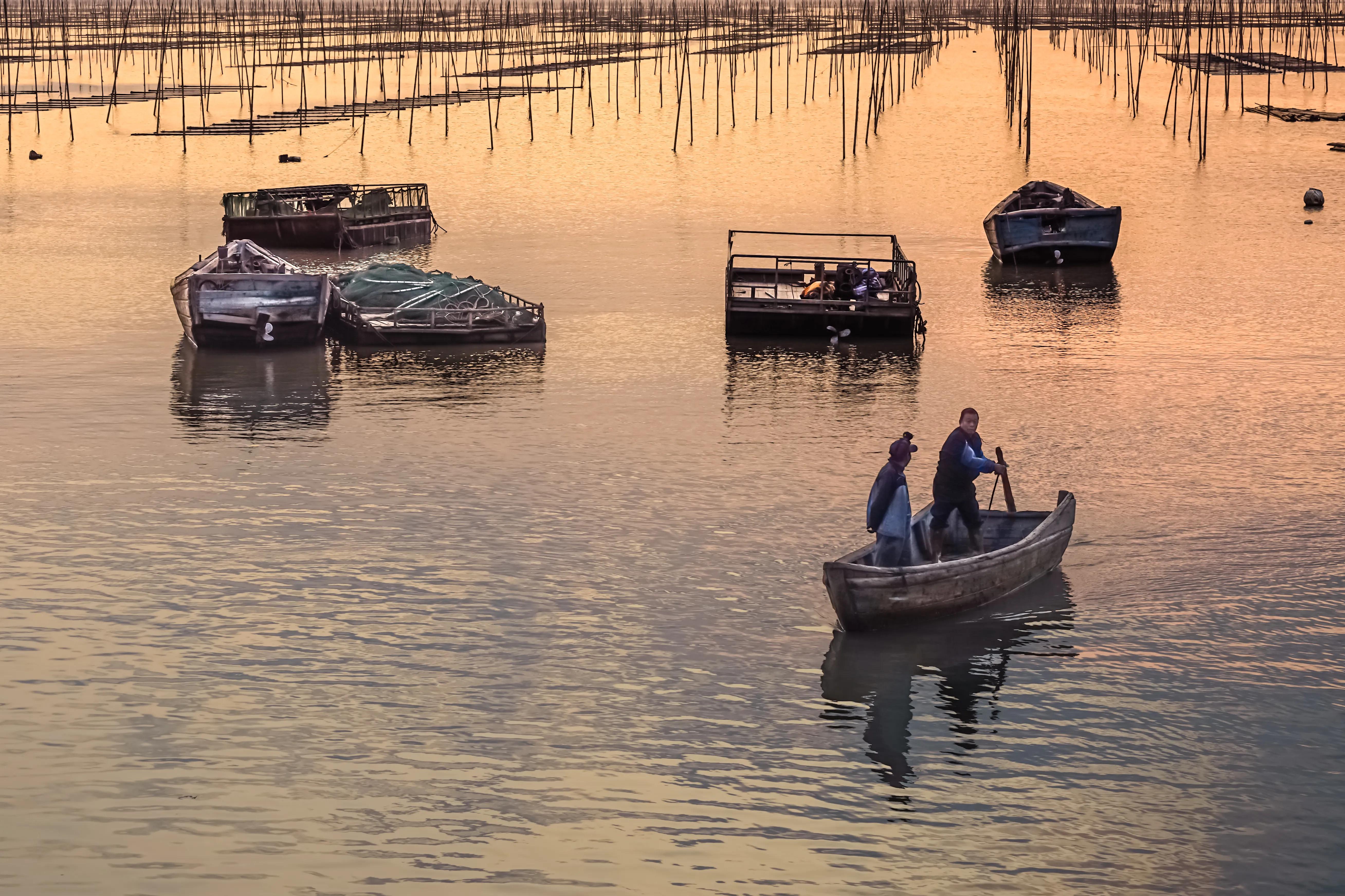 我的家乡温州市,我的家乡温州苍南