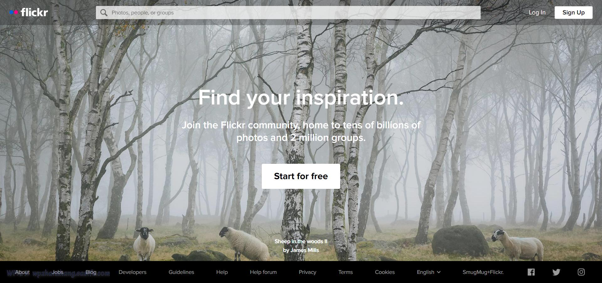 wordpress缃戠珯妗堜緥,wordpress钁楀悕妗堜緥
