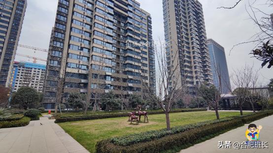 合肥滨湖招商雍华府附近规划,合肥省府中轴招商雍华府