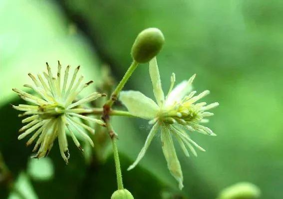 100种迷人的“数字花”,从零到一百万,真是太神奇了