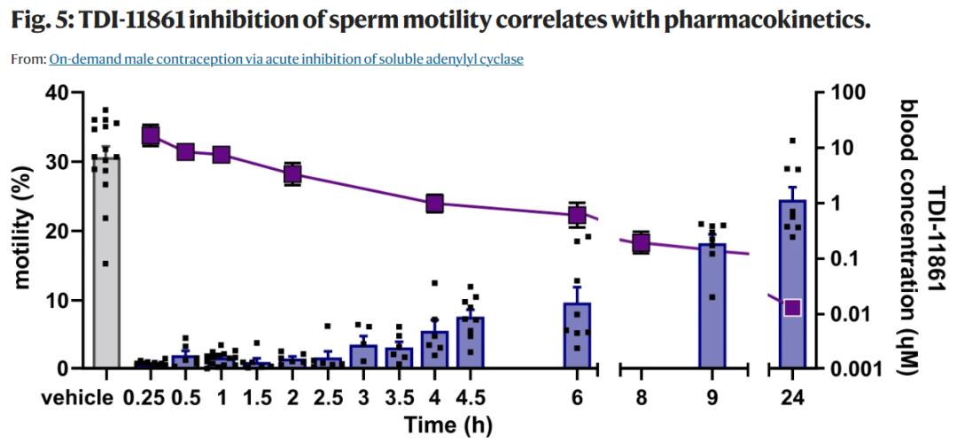 冻住精子！第一个靠谱的男性避孕药来了？