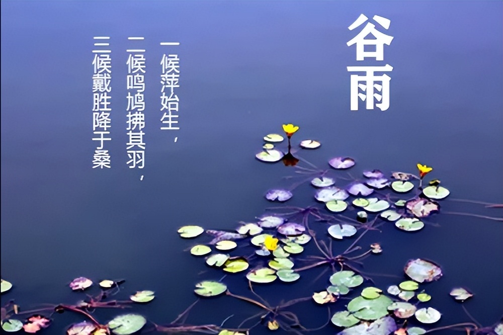 关于节气的诗并进行赏析,谷雨节气古诗词欣赏