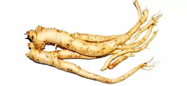 原创花卉作品·桔梗花·花中处士，不慕繁华。已然成为园林新宠。