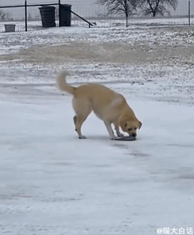 曝光聊天记录事件,曝光聊天记录反转事件