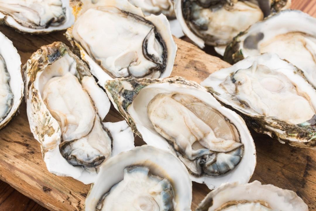 世界地图海鲜,澳大利亚最新海鲜图片