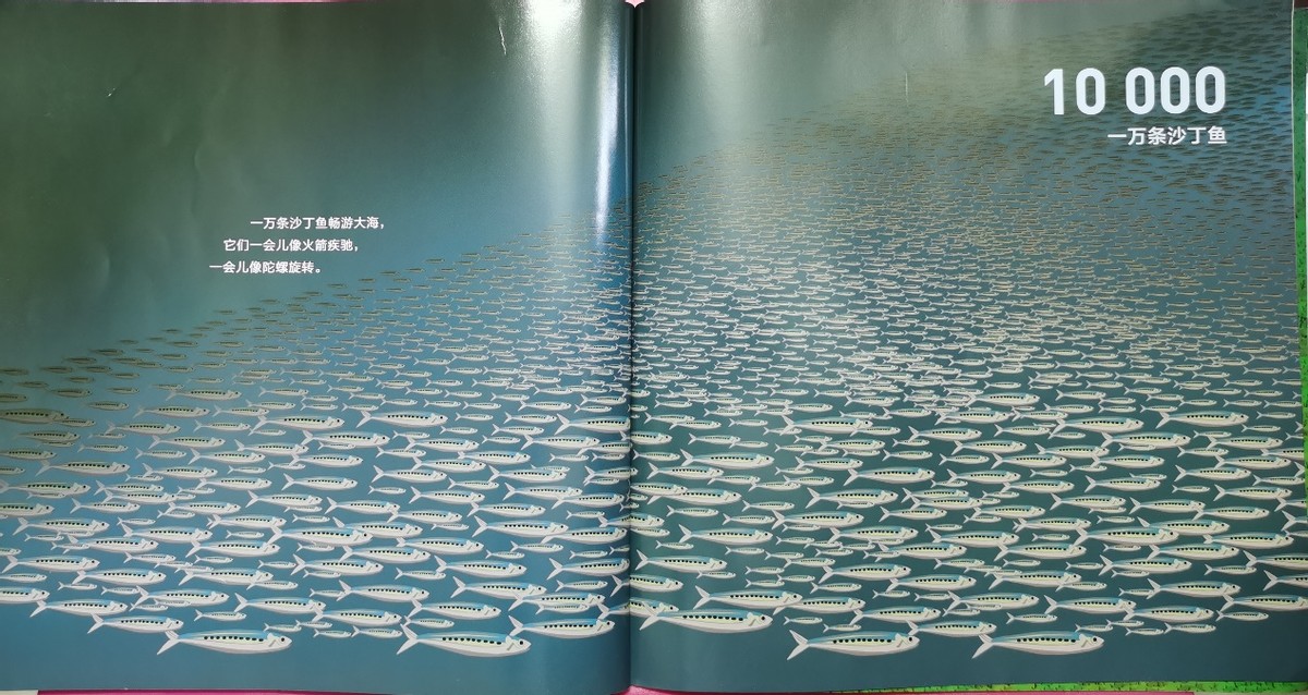 绘本和我一起数星星,儿童绘本推荐3-6岁星星主题