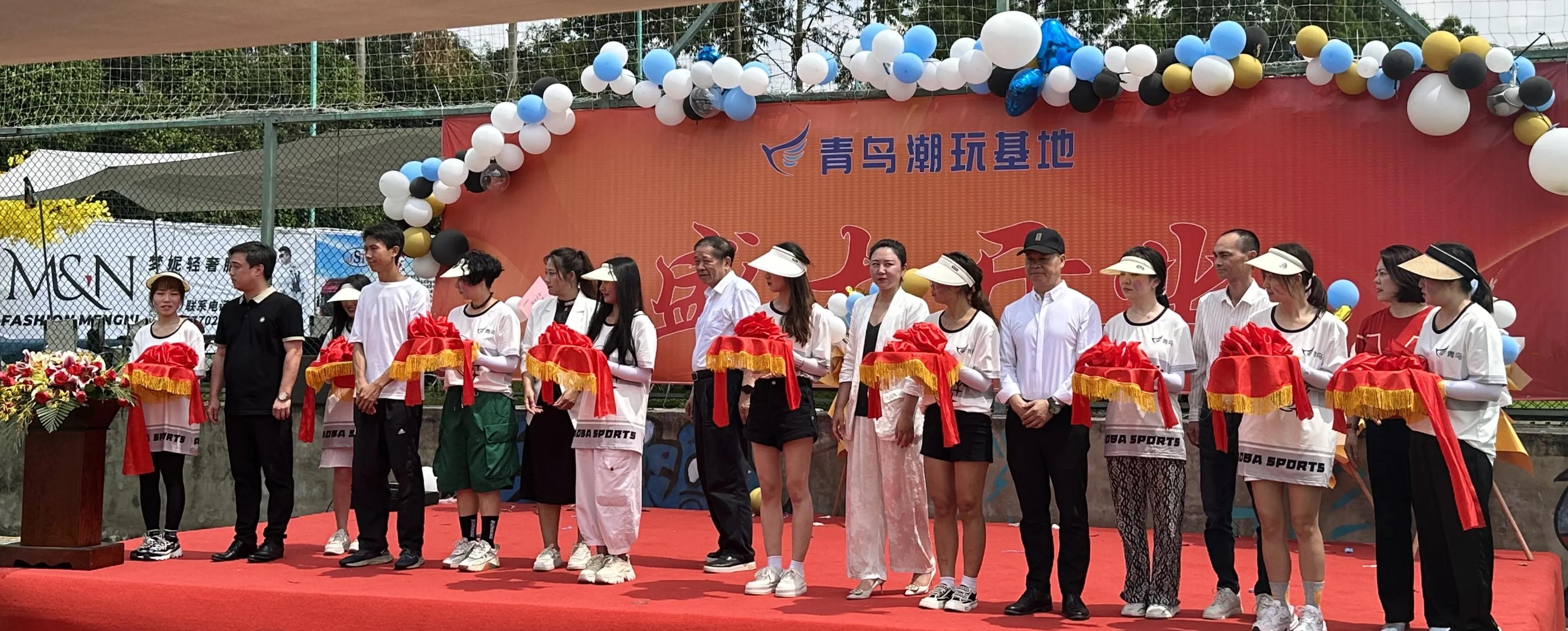 飞盘国际巡回赛,国际飞盘比赛