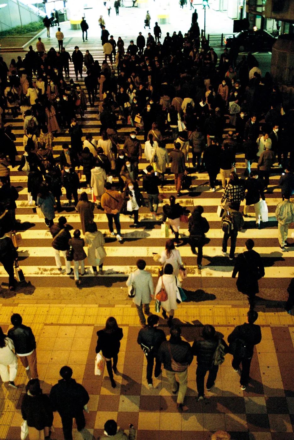 不结婚轻松过一辈子,如果不结婚你想怎么过