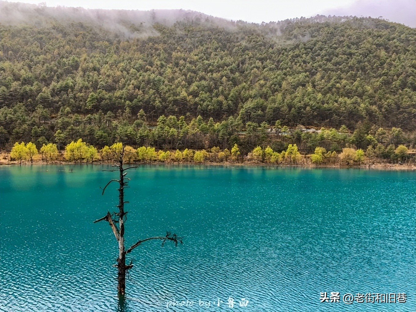 玩转云南自由行,昆明大理丽江6天5晚游多少钱