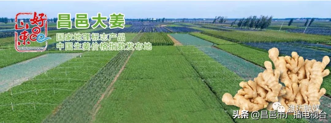 总要来趟潍坊昌邑吧！