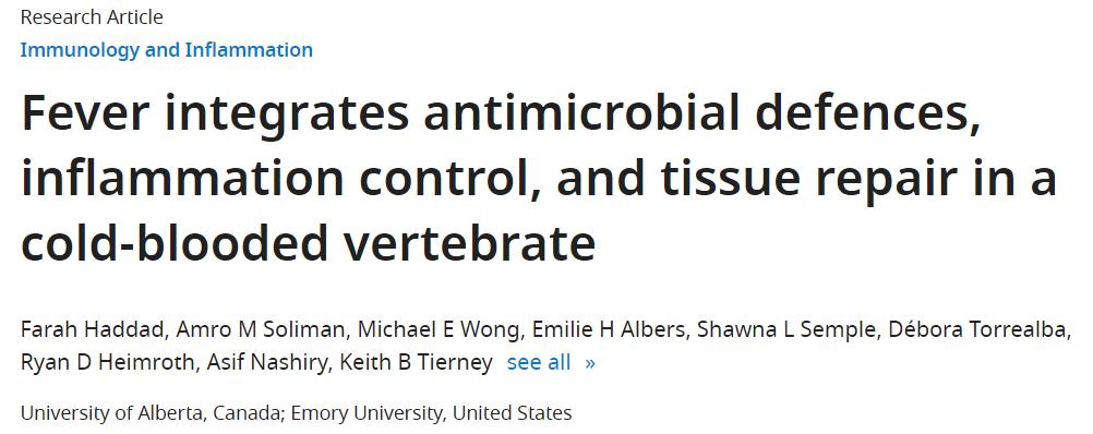 发烧可能是件好事，新研究表明：低烧有助于更快清除感染？