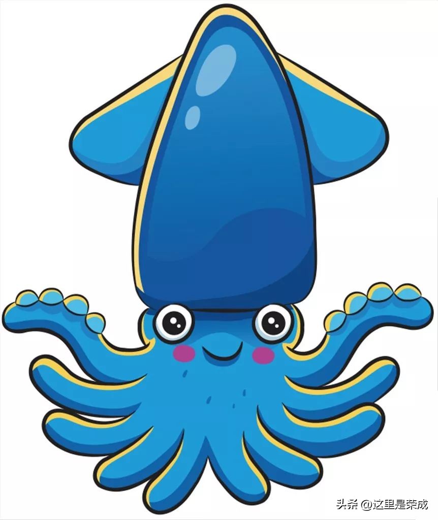 鱿鱼墨鱼鲨鱼章鱼哪个是真正的鱼,墨鱼鱿鱼和章鱼哪个营养价值最高