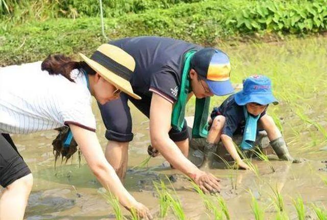 广西北海市的小学怎么样,广西北海为什么这么火