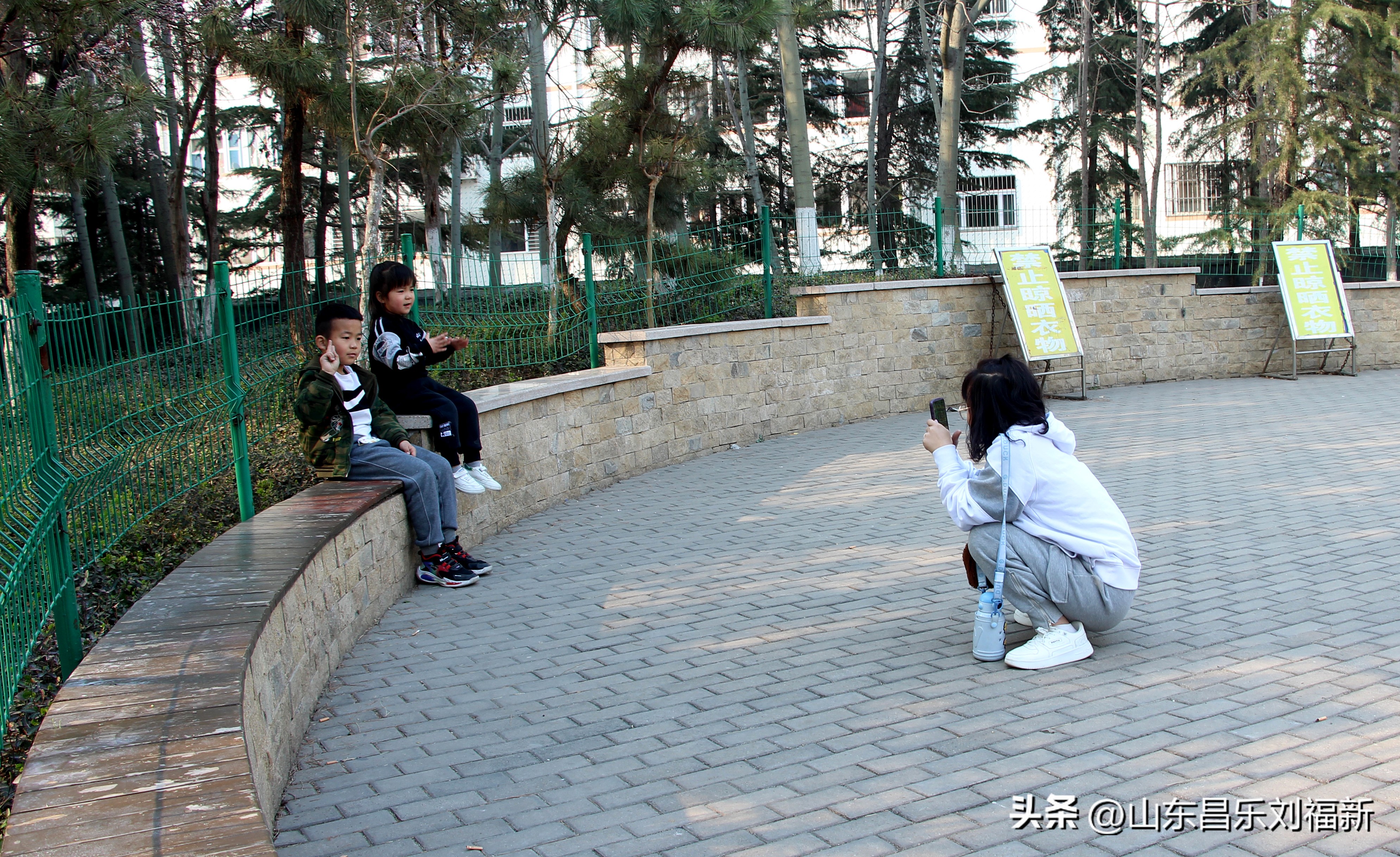 2023年3月中旬散拍·一点儿感受