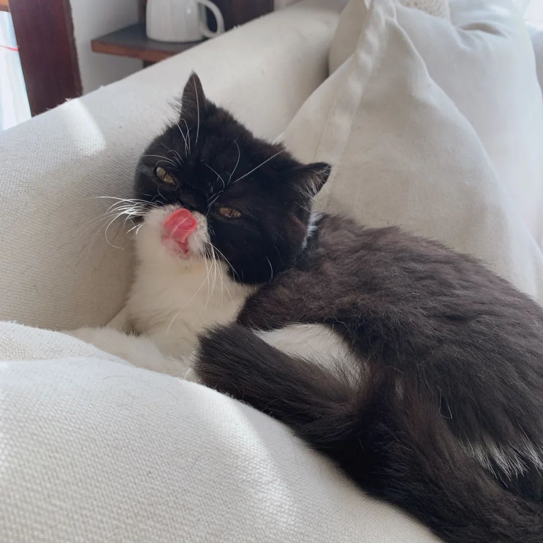 朱家角古镇一日游最佳攻略,朱家角什么好吃