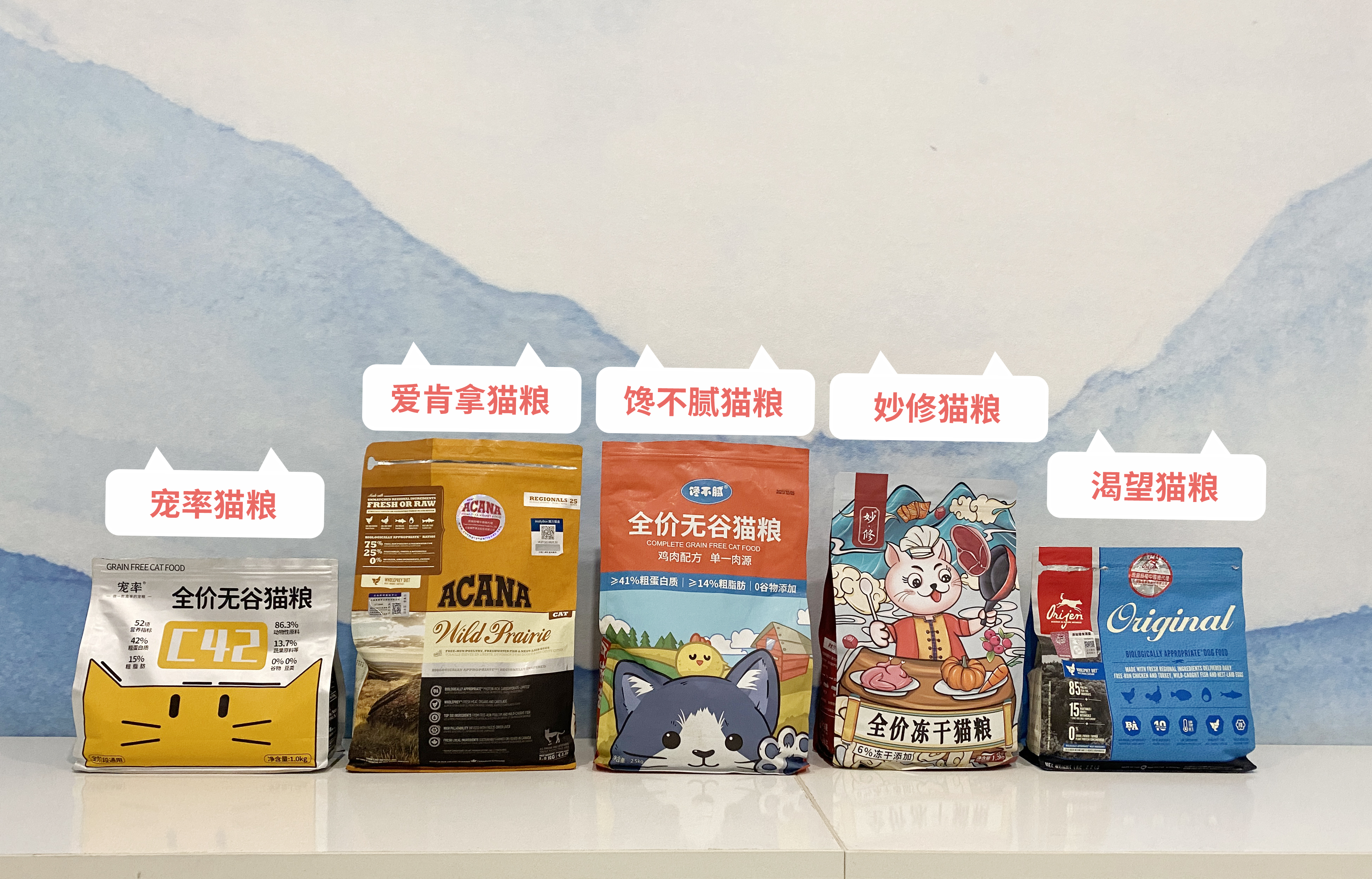 养三花猫的人需要注意什么呢,三花猫为什么都不愿意养猫