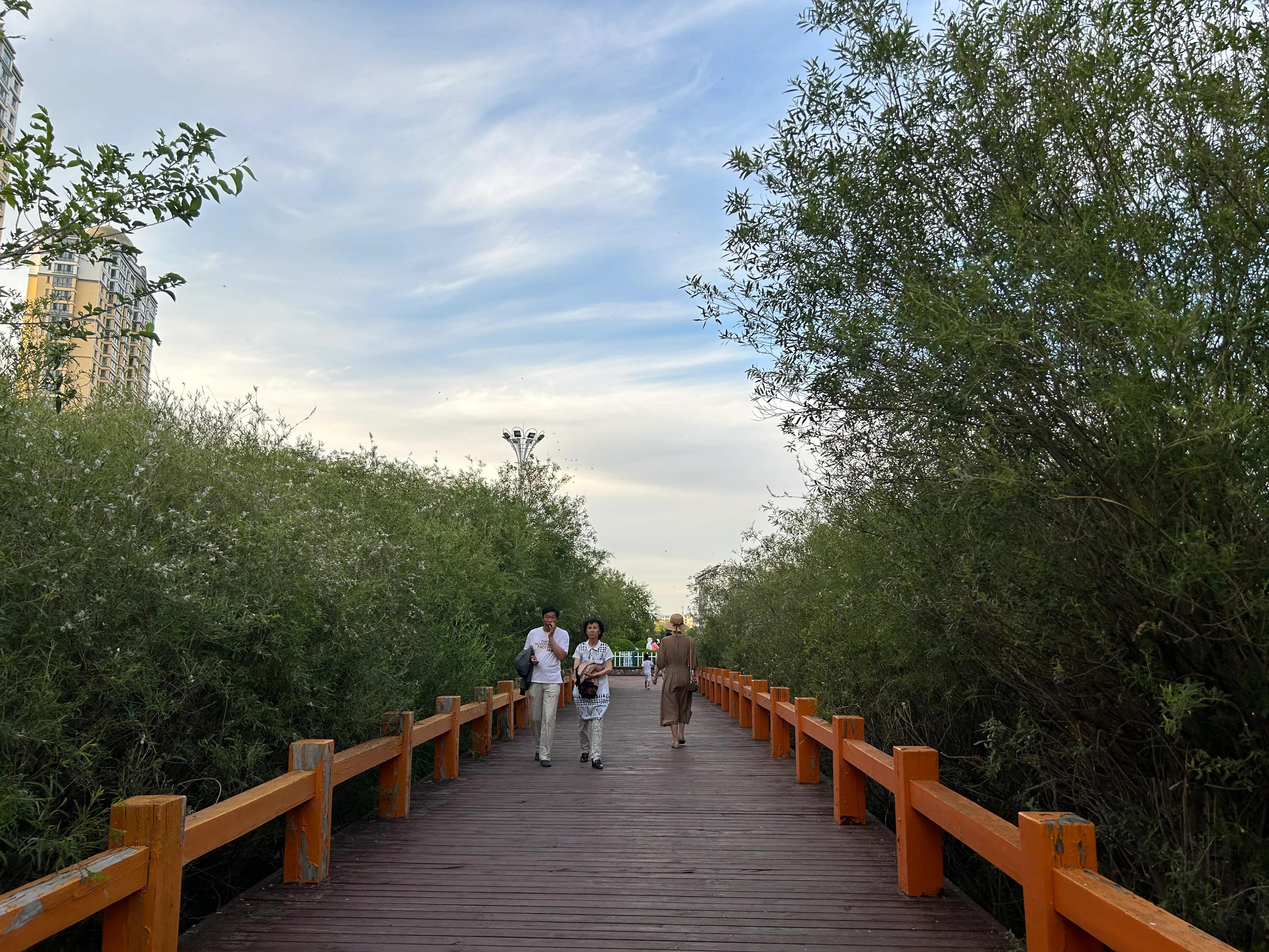 海拉尔呼伦贝尔草原,呼伦贝尔海拉尔旅游攻略