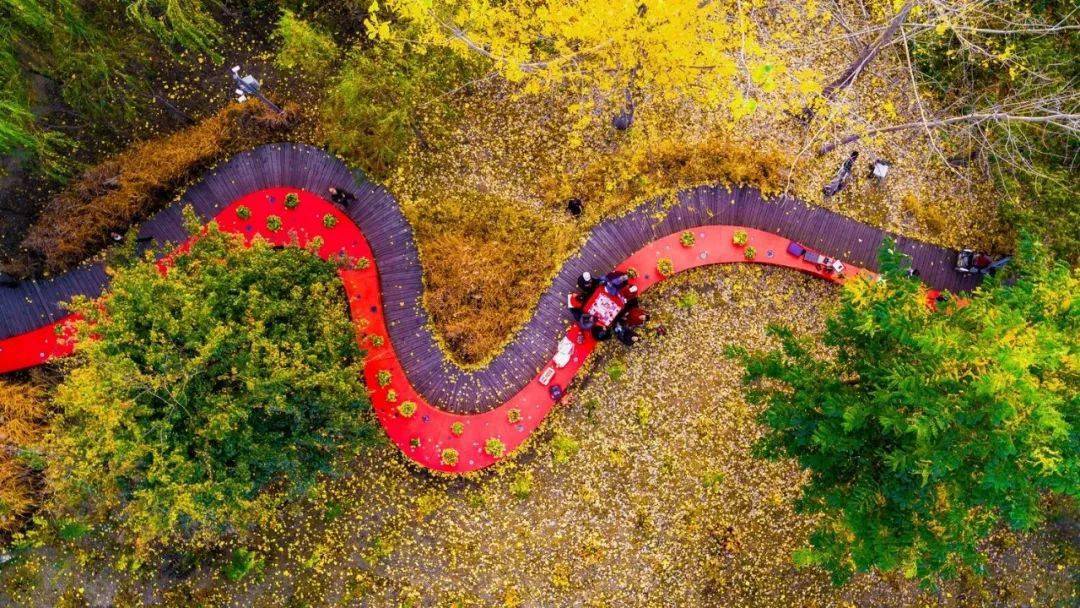 在花园中思考宇宙——詹克斯宇宙思考花园